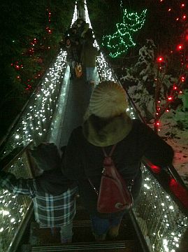 Capilano Canyon Lights: Enjoy the Holiday Magic