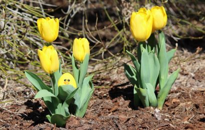 Eggciting Easter Events in the Tri-Cities